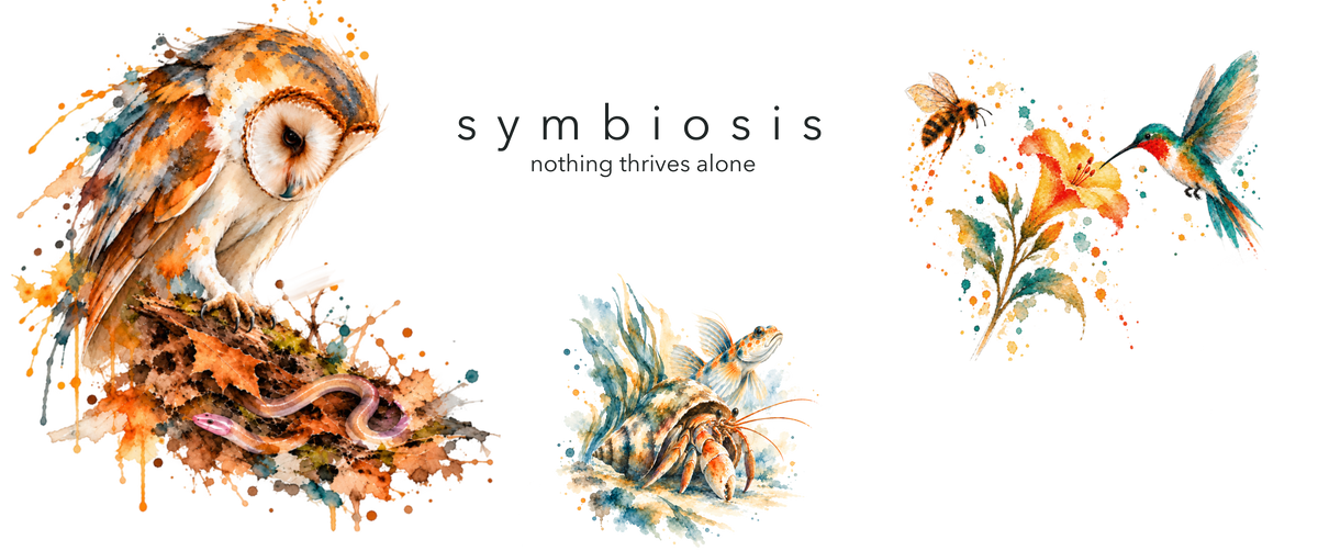 GéCa Symbiosis collection